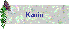 Kanin